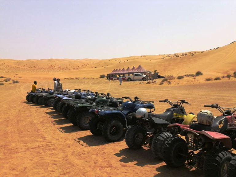 Desert Activities 